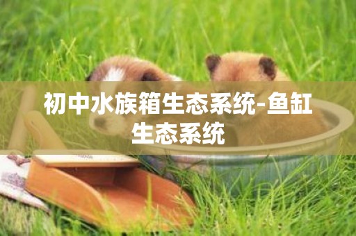 初中水族箱生態系統-魚缸生態系統