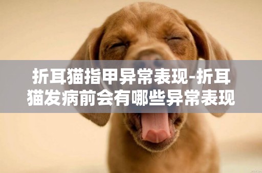折耳貓指甲異常表現-折耳貓發病前會有哪些異常表現？