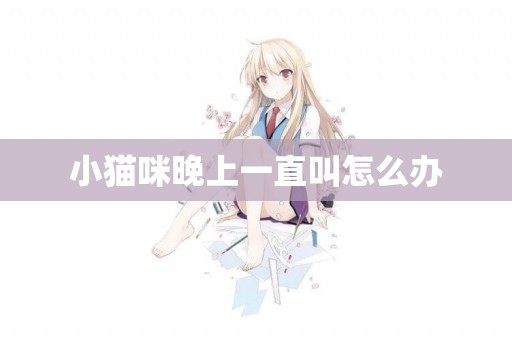 小貓咪晚上一直叫怎么辦