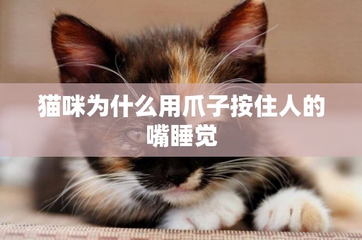 貓咪為什么用爪子按住人的嘴睡覺
