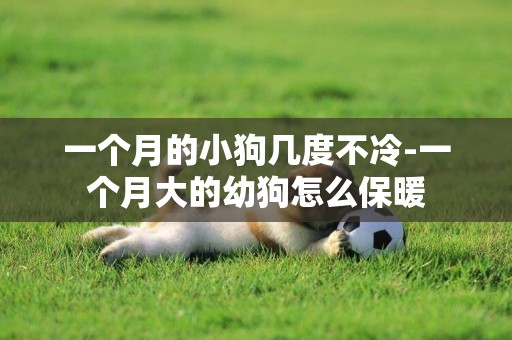 一個月的小狗幾度不冷-一個月大的幼狗怎么保暖