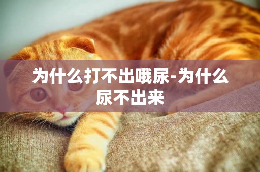 為什么打不出哦尿-為什么尿不出來