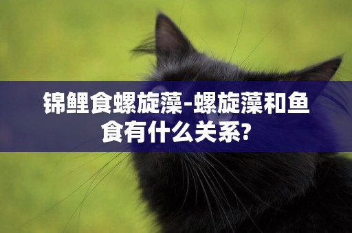 錦鯉食螺旋藻-螺旋藻和魚食有什么關系?