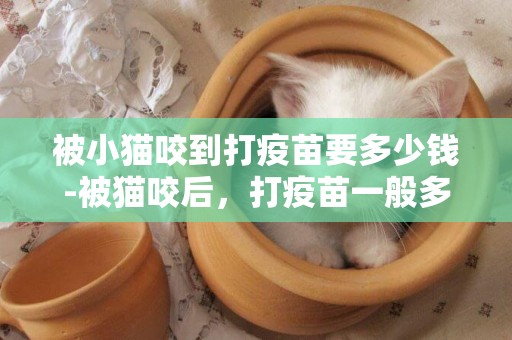 被小貓咬到打疫苗要多少錢-被貓咬后，打疫苗一般多少錢