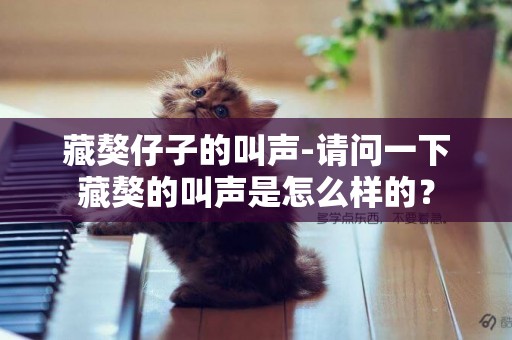 藏獒仔子的叫聲-請問一下藏獒的叫聲是怎么樣的？