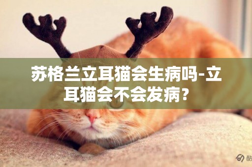 蘇格蘭立耳貓會生病嗎-立耳貓會不會發病？