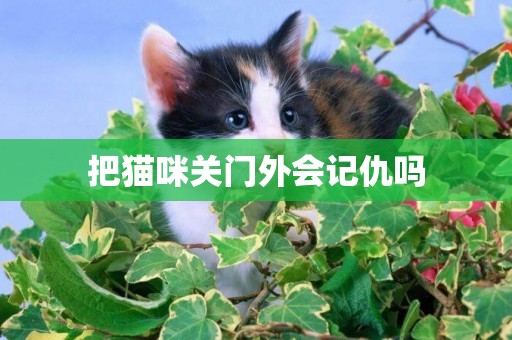 把貓咪關門外會記仇嗎