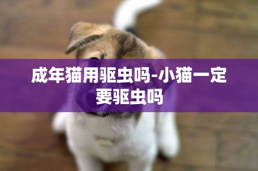 成年貓用驅蟲嗎-小貓一定要驅蟲嗎