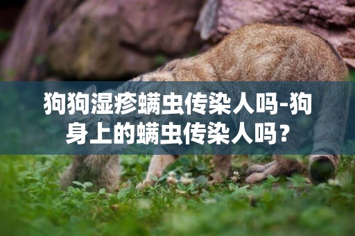 狗狗濕疹螨蟲傳染人嗎-狗身上的螨蟲傳染人嗎？