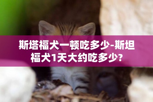 斯塔福犬一頓吃多少-斯坦福犬1天大約吃多少?