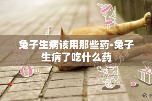 兔子生病該用那些藥-兔子生病了吃什么藥