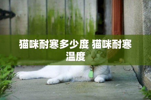 貓咪耐寒多少度 貓咪耐寒溫度