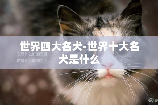 世界四大名犬-世界十大名犬是什么