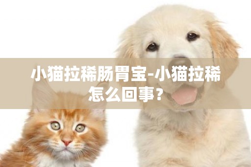 小貓拉稀腸胃寶-小貓拉稀怎么回事？