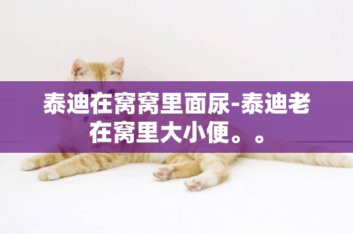 泰迪在窩窩里面尿-泰迪老在窩里大小便。。