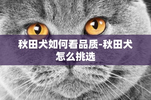 秋田犬如何看品質-秋田犬怎么挑選