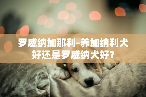羅威納加那利-養加納利犬好還是羅威納犬好？