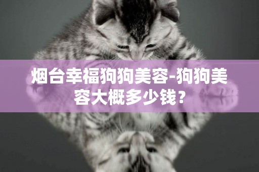 煙臺幸福狗狗美容-狗狗美容大概多少錢？