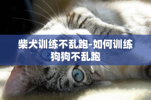 柴犬訓練不亂跑-如何訓練狗狗不亂跑