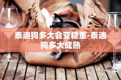 泰迪狗多大會變穩重-泰迪狗多大成熟