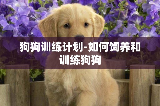 狗狗訓練計劃-如何飼養和訓練狗狗