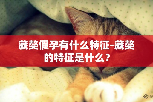 藏獒假孕有什么特征-藏獒的特征是什么？