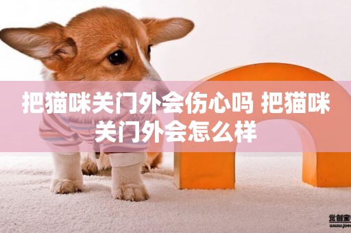 把貓咪關門外會傷心嗎 把貓咪關門外會怎么樣