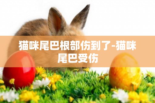 貓咪尾巴根部傷到了-貓咪尾巴受傷