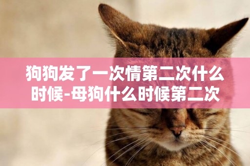 狗狗發了一次情第二次什么時候-母狗什么時候第二次發情