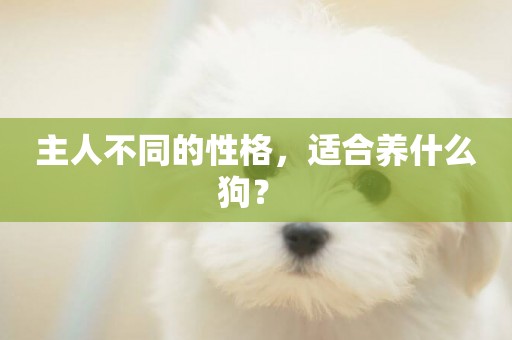 主人不同的性格，適合養什么狗？ 