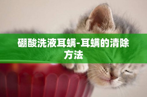 硼酸洗液耳螨-耳螨的清除方法