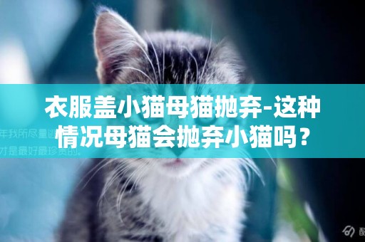 衣服蓋小貓母貓拋棄-這種情況母貓會拋棄小貓嗎？