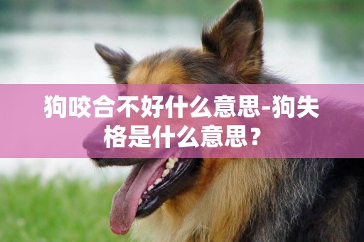 狗咬合不好什么意思-狗失格是什么意思？