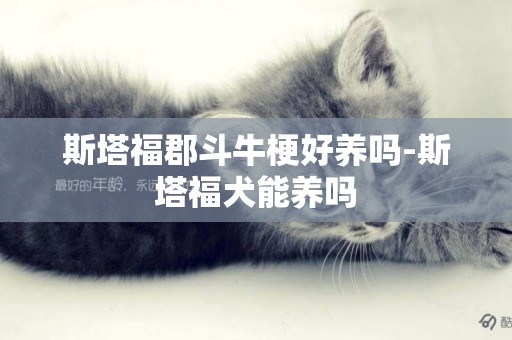 斯塔福郡斗牛梗好養嗎-斯塔福犬能養嗎