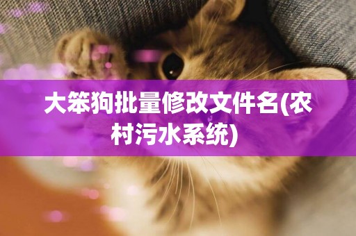 大笨狗批量修改文件名(農村污水系統) 