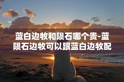 藍白邊牧和隕石哪個貴-藍隕石邊牧可以跟藍白邊牧配種嗎？