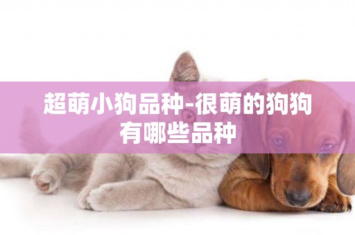 超萌小狗品種-很萌的狗狗有哪些品種