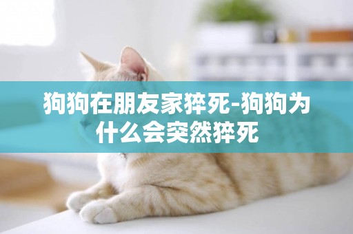 狗狗在朋友家猝死-狗狗為什么會突然猝死