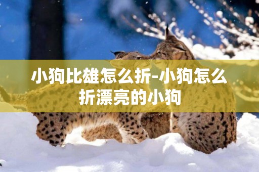 小狗比雄怎么折-小狗怎么折漂亮的小狗