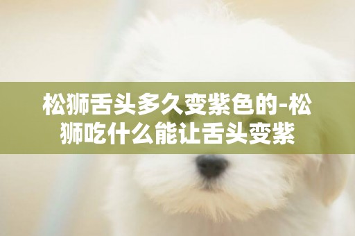 松獅舌頭多久變紫色的-松獅吃什么能讓舌頭變紫
