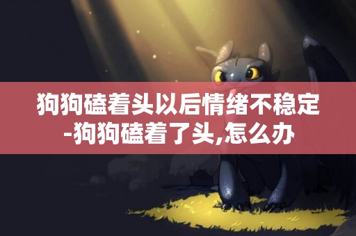 狗狗磕著頭以后情緒不穩定-狗狗磕著了頭,怎么辦