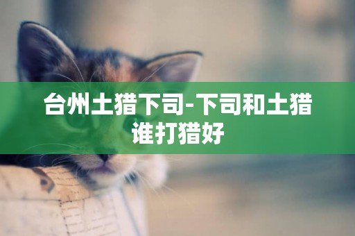 臺州土獵下司-下司和土獵誰打獵好