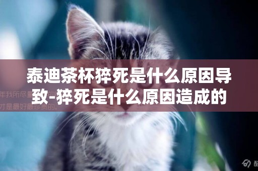 泰迪茶杯猝死是什么原因導致-猝死是什么原因造成的