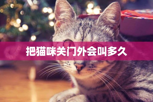 把貓咪關門外會叫多久
