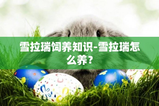 雪拉瑞飼養知識-雪拉瑞怎么養？
