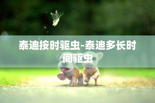 泰迪按時驅蟲-泰迪多長時間驅蟲