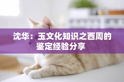 沈華：玉文化知識之西周的鑒定經驗分享 