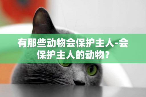 有那些動物會保護主人-會保護主人的動物？