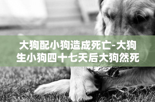 大狗配小狗造成死亡-大狗生小狗四十七天后大狗然死亡是什么園因