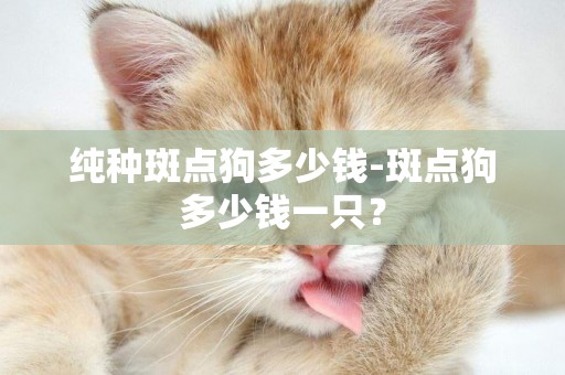 純種斑點狗多少錢-斑點狗多少錢一只？